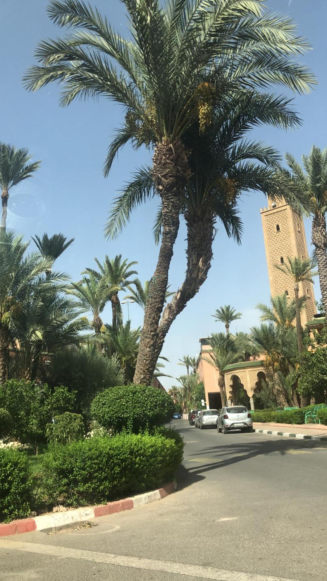 Riad Lyna Маракеш Екстериор снимка